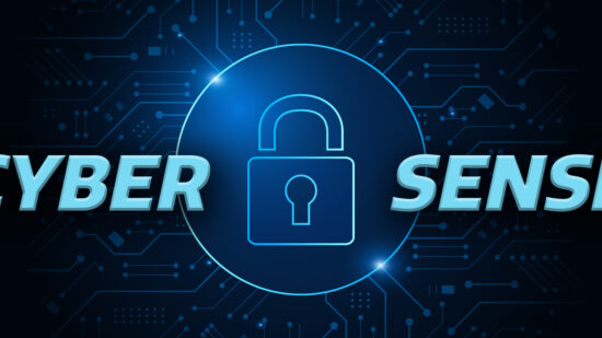 Cyber Sense OIG Blog Banner 0123